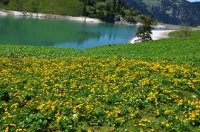 2025 Tannheimer Tal