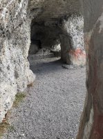 IMG_4926