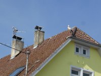 2026_Hohenfels