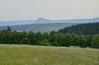 DSC_5306