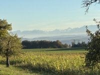 IMG_4961