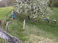2026_Maria_im_Stein