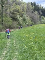 2026_Maria_im_Stein